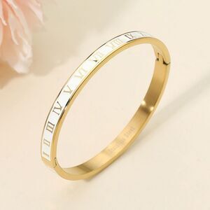 White Gold Roman Numeral Stainless Steel Bangle Bracelet Jewelry Enamel Hinged